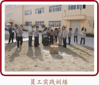 三中三精准资料