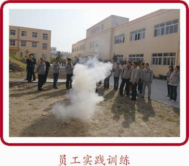三中三精准资料